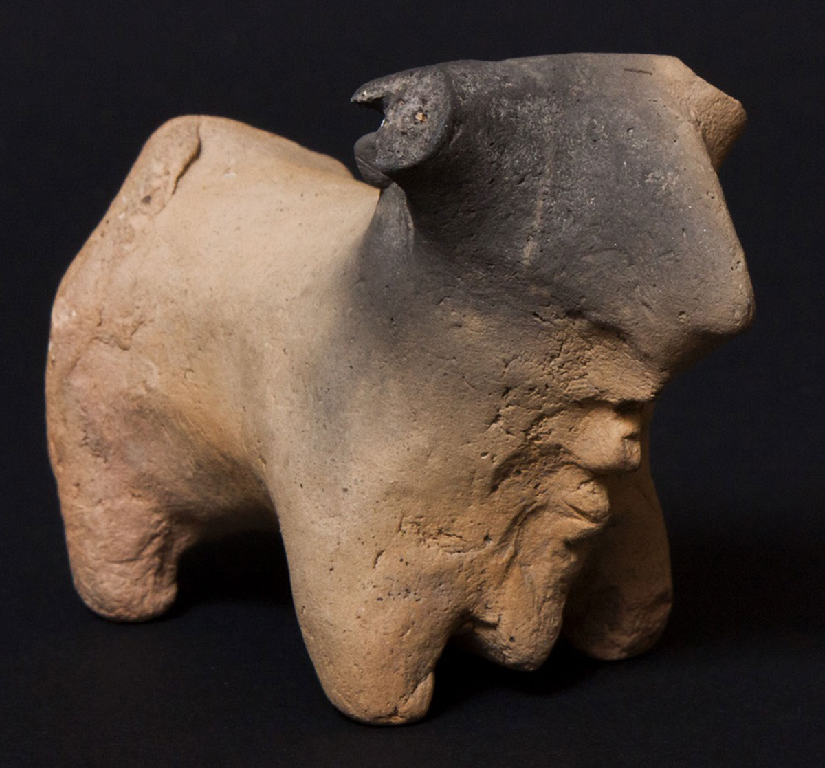 Bull figurine from Rashkov Bull figurine from Rashkov