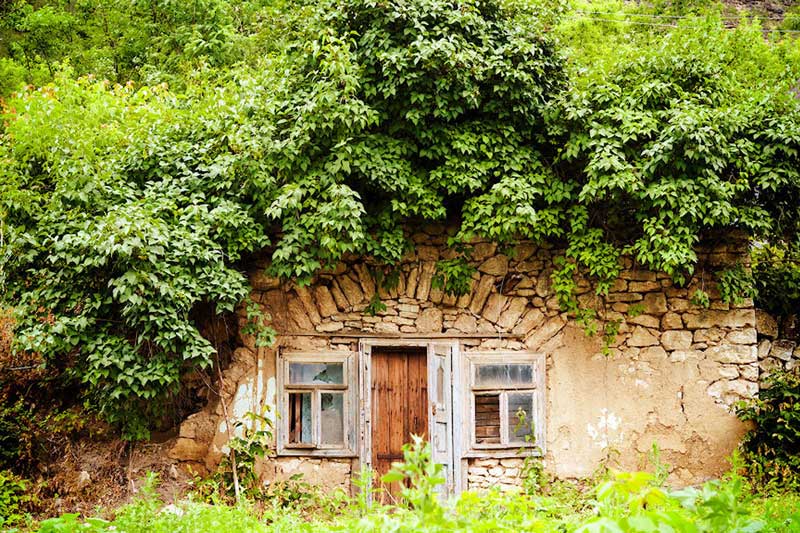 Домик Хоббитов в Рашкове.