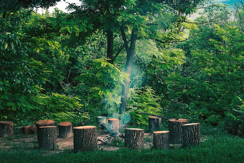 Природа в Рашкове в Приднестровье